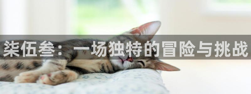 蓝冠娱乐网页登录入口官网：柒伍叁：一场独特的冒险与挑战