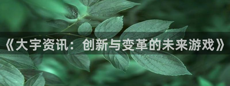 蓝冠娱乐4招商：《大宇资讯：创新与变革的未来游戏》
