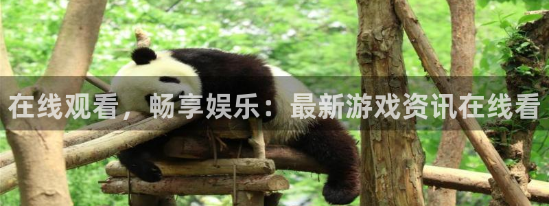 蓝冠娱乐怎么注册：在线观看，畅享娱乐：最新游戏资讯在线看