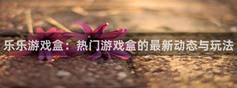 蓝冠娱乐平台注册：乐乐游戏盒：热门游戏盒的最新动态与玩法